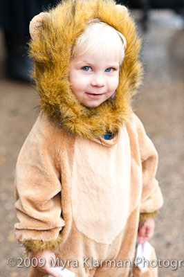 Boy in a lion's costume