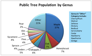 Chart of tree diversity in Ann Arbor