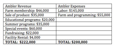 Finances for Ambler Farm