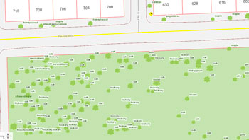 Screenshot from the city of Ann Arbor's online tree inventory, showing a preponderance of oak trees in the northern part of Allmendinger Park.