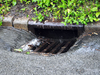Ann Arbor city storm drain in action. (Chronicle file photo)