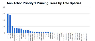 Trees by species
