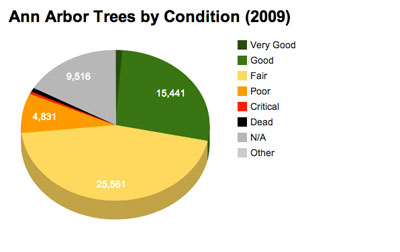 Ann Arbor trees in public right of way by their condition. Chart by The Chronicle with data from 2009 city of Ann Arbor inventory.
