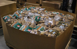 Five-pound bags of potatoes, awaiting distribution.