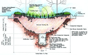 Bioretention schematic