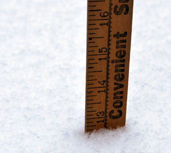 Yardstick measuring Feb. 2, 2011 snowfall in Ann Arbor