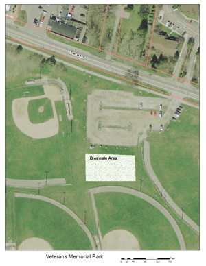 Site of proposed bioswale at Veterans Memorial Park
