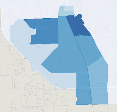 Ward 4 Ann Arbor Democratic primary results