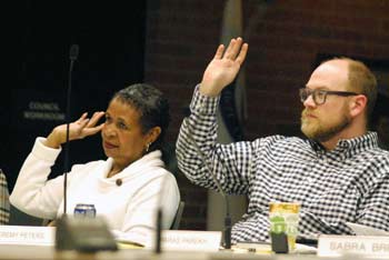 Wendy Woods, Jeremy Peters, Ann Arbor planning commission, The Ann Arbor Chronicle